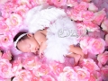Newborn-baby-photo-foto-bayi-jakarta-utara-kelapa-gading-sunter-08
