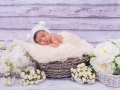 magni-baby-photo-newborn-photo-studio-17