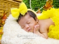 magni-baby-photo-newborn-photo-studio-23